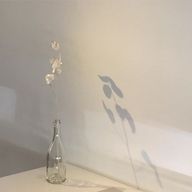 Saさんのアイコン画像