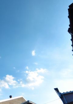フォロー整理