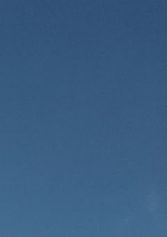 コメチャレ（特別編）