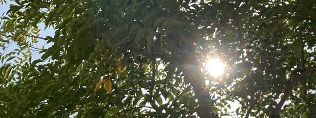 ふふふ♡さんの壁紙画像