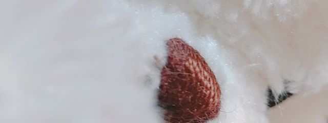 yunaさんの壁紙画像