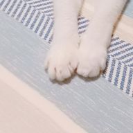 yunaさんのアイコン画像