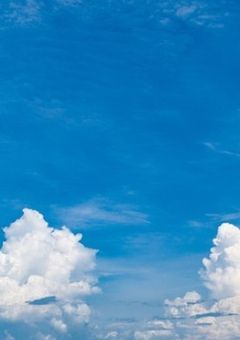 Go to the Top　〜11人でなら、歩き出せる〜