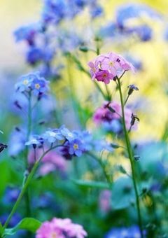 全部、無かったことにできたら