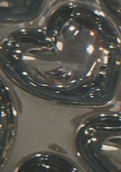 iconZメンバーと過ごしてみませんか？