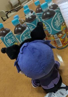 📢ぬいちゃん日記
