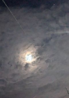 名探偵コナンオタクが作った推し活(語り)部屋