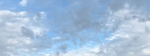 田中さんの壁紙画像