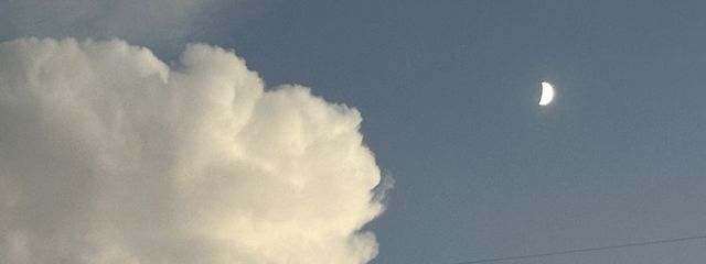 如月/kisaragiさんの壁紙画像