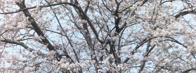 てぃーな（スランプ）さんの壁紙画像