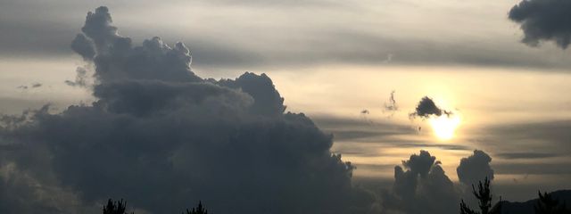 雨☔☆*。活動開始する…かも。さんの壁紙画像