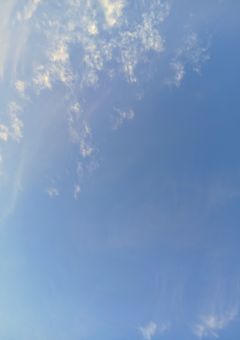 読まれなかったファンレター