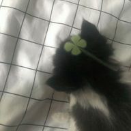 なつきさんのアイコン画像