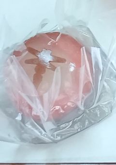 自己紹介