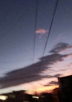 告白の " 練習相手 " になりました。　【　🐔　】