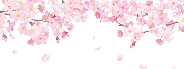 うさくら🌸さんの壁紙画像