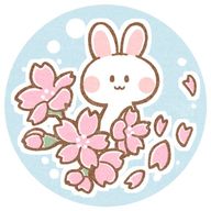 うさくら🌸さんのアイコン画像