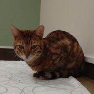 千絵🌈🖌️さんのアイコン画像