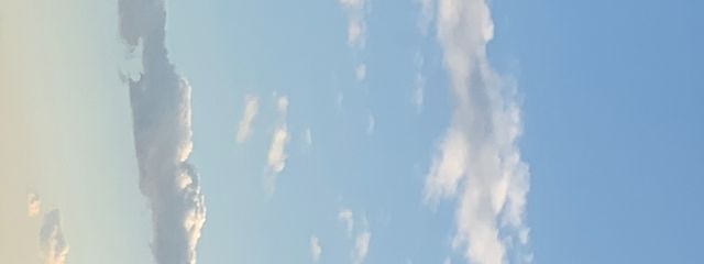 yuanninさんの壁紙画像