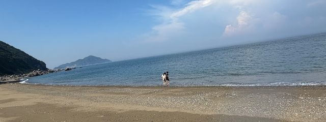 paqさんの壁紙画像