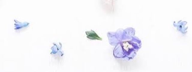 スーパーきのこ侍DXさんの壁紙画像