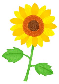 可愛い男子も｢欲｣はある