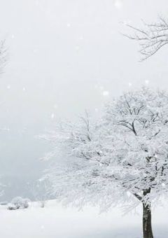 降り積もる雪に幸あれ
