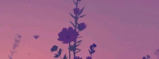 Soraさんの壁紙画像