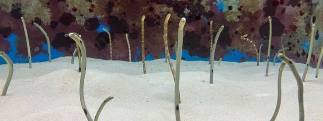 nkanさんの壁紙画像