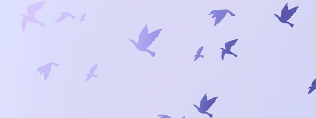 おとといさんの壁紙画像