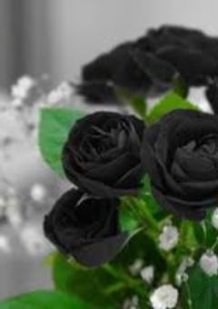 ヤンデレ彼氏とメンヘラ彼女【参加型】