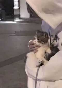 訳ありstayの非日常【long】