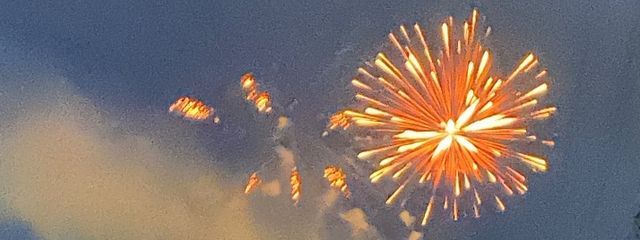 🌸桜🌸さんの壁紙画像