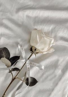 『 ヨジャドル 短編集 まとめ 』