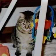 まきさんのアイコン画像