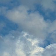 ぱふさんのアイコン画像