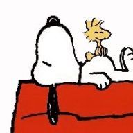 くちなし。さんのアイコン画像