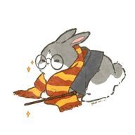 にゅいさんのアイコン画像