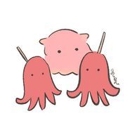 めんだこ🐬🦐🦈さんのアイコン画像