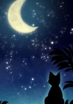 謎の薬を飲んだら猫になりました。