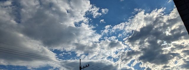 うさねこさんの壁紙画像