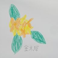 金木犀さんのアイコン画像