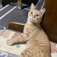 遊泉寺さんのアイコン画像