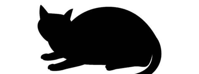 Rinさんの壁紙画像