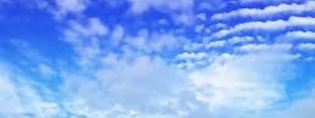 紫之さんの壁紙画像