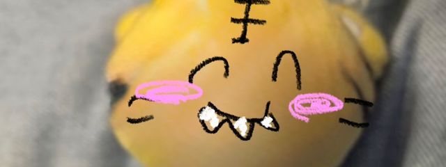 かき氷さんの壁紙画像