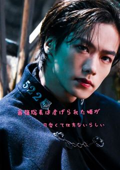 最強総長は虐げられた姫が可愛くて仕方ないらしい