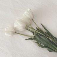 kzsさんのアイコン画像