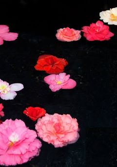 天仙様？あーうちの事ww？