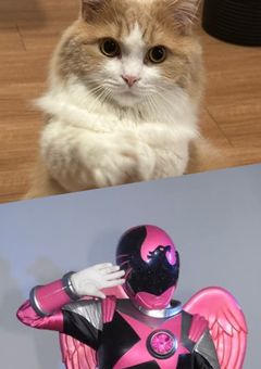 THE RAMPAGEの姫猫